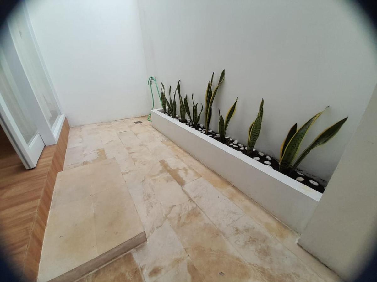 Lotus Lofts Apartment *